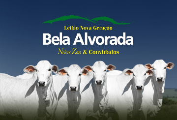 LEILÃO NOVA GERAÇÃO BELA ALVORADA NELORE ZAN & CONVIDADOS